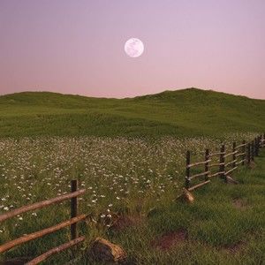 Meet your Posher, Parneet